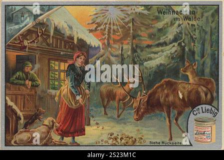Serie di immagini Famous Christmas, in the Forest, Liebigbild, digitalmente restaurata riproduzione di un quadro collettivo del 1900 circa, pubblico dominio, data esatta sconosciuta, donna nella foresta vicino a una capanna, guardare cervi nella neve durante la vigilia di Natale, Bildserie berühmte Weihnachten, im Wald, digital restaurierte Reproduktion eines Sammelbildes von CA 1900, gemeinfrei, genaues Datum unbekt, Frahnachbei während, Frahnachenel el el el el Hütte Wehnachbei Wehnachenel-, Frahnachel- Foto Stock