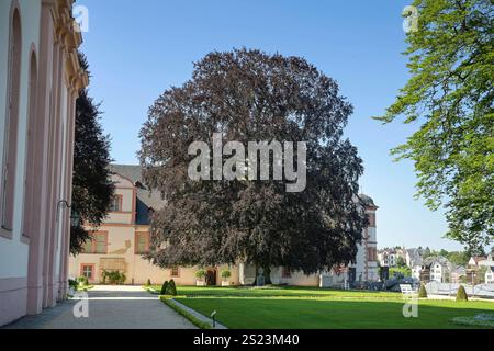 Oberer Schloßgarten, Schloß Weilburg, Landkreis Limburg-Weilburg, Assia, Germania *** Giardino del Castello superiore, Castello di Weilburg, Distretto di Limburgo Weilburg, Assia, Germania Foto Stock