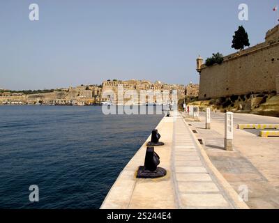 Il porto turistico di Birgu, Vittoriosa a Malta Foto Stock