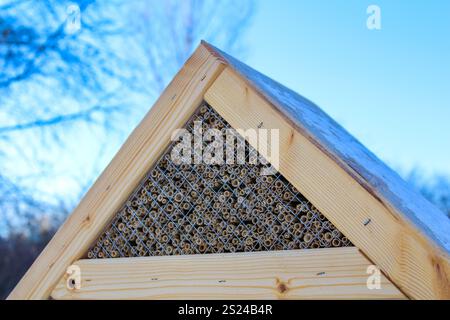 Primo piano di un hotel di api fatto a mano che mostra tubi di bambù, adagiati contro un cielo blu, promuovendo la conservazione della fauna selvatica e gli habitat degli impollinatori. Foto Stock