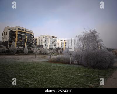 Praga, repubblica Ceca - 29 dicembre 2024: Edifici residenziali moderni si trovano dietro alberi ghiacciati e erba a praga 9, cechia, in un dicembre freddo Foto Stock
