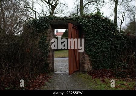 Rustic Garden Gate (porta) incorniciato da Ivy in un tranquillo ambiente invernale. Foto Stock