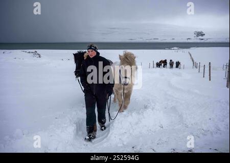 Akureiry, Islanda. 15 luglio 2023. Si vede un cavaliere che guida alcuni cavalli islandesi per un giro in un centro di allevamento e addestramento situato vicino al villaggio di Akureiry. Il cavallo islandese rappresenta una razza distintiva originaria dell'Islanda, nota per la loro resistenza e versatilità. Di dimensioni da piccole a medie, sono robuste e conformi a Long manes. Ben adattate alle dure condizioni climatiche del loro paese d'origine, sono famose per le loro due cornamuse uniche, la "tÃ¶lt" e la "flokk", che le distinguono dalle altre razze. Il loro temperamento tranquillo li rende ideali per ri Foto Stock