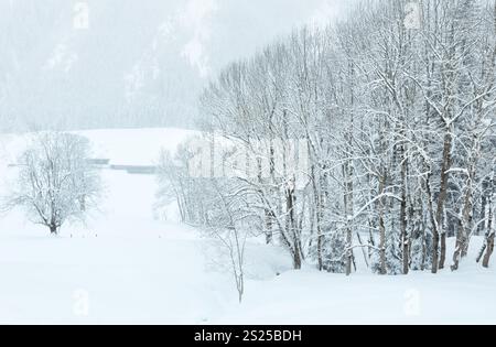 Inverno montagna nebbioso giorno sordo paesaggio innevato Foto Stock