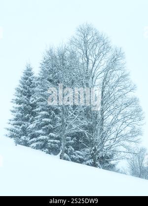 Inverno montagna nebbioso giorno sordo nevicata paesaggio Foto Stock