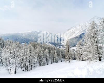 Neve pendio di montagna nella regione sciistica Via Lattea (Via Lattea), Sestriere, Italia Foto Stock