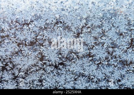 I fiocchi di neve e di gelo modello sulla finestra di congelato nelle fredde serate invernali Foto Stock