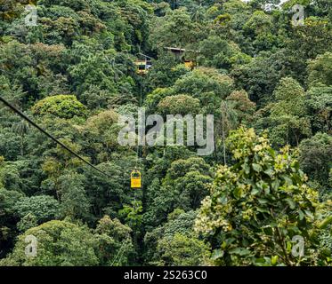 Funivia che attraversa la gola o il burrone, il Santuario de las Cascadas, la foresta nuvolosa di Mindo, l'Ecuador, il Sud America Foto Stock