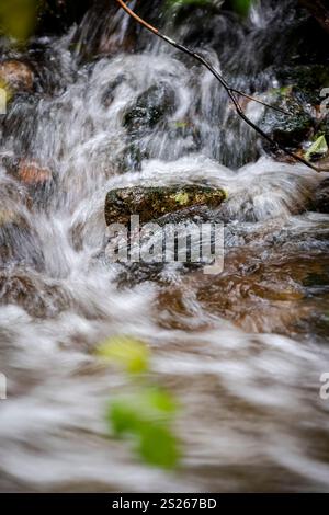 L'acqua a cascata scorre attraverso un ruscello roccioso nei fitti boschi della Great Bear Rain Forest nella Columbia Britannica, Canada Foto Stock