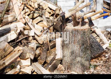 Pila di firewoods e diversi assi in blocco di legno in villaggio Foto Stock