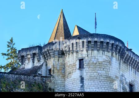 Città Reale di Loches (Francia) vista a molla. È stato costruito nel IX secolo. Foto Stock