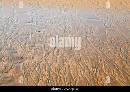 Viaggia verso l'Algarve Portogallo - motivo naturale su sabbia bagnata sulla spiaggia praia da rocha baixinha nascente nella zona di vilamoura vicino alla città di Albufeira durante la sera Foto Stock