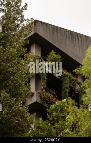 Un vecchio edificio circondato da un lussureggiante vegetazione, che crea un bel contrasto tra l'architettura storica e la vibrante vegetazione. Il naturale Foto Stock