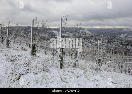 Filari di vigneti ricoperti di neve su una collina con vista sul paesaggio invernale, vicino a Korb nella valle del Rems, vicino a Stoccarda, Baden-Wuerttemberg, GE Foto Stock