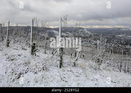 Snow-covered rows of vineyards on a hill with a view of the winter landscape, near Korb in the Rems Valley, close to Stuttgart, Baden-Wuerttemberg, Ge Foto Stock