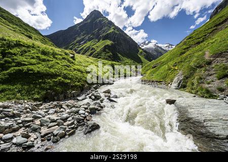 Torrente Isel nella valle Umbaltal, gruppo Venediger, Parco Nazionale degli alti Tauri, Tirolo Orientale, Tirolo, Austria, Europa Foto Stock
