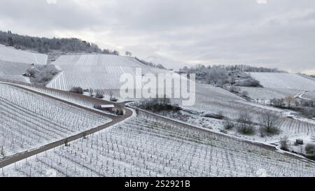 Vigneti ricoperti di neve sotto un cielo nuvoloso in un paesaggio collinare, vicino a Korb nella valle del Rems, vicino a Stoccarda, Baden-Wuerttemberg, Germania, Europa Foto Stock