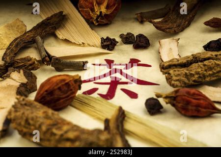 Ingredienti per un tè nella medicina tradizionale cinese. Guarigione di malattie attraverso metodi alternativi. Austria Foto Stock