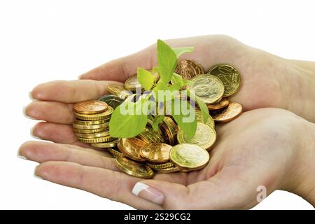 Mani con soldi e piante. Foto simbolica per la crescita del capitale attraverso l'interesse durante il salvataggio. Austria Foto Stock