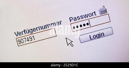 La password viene richiesta sul monitor di un computer quando si accede all'online banking. Austria Foto Stock