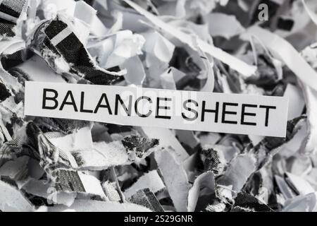 Frammenti di carta con la parola chiave bilancio, foto simbolica per la distruzione dei dati, i bilanci e la contabilità Foto Stock
