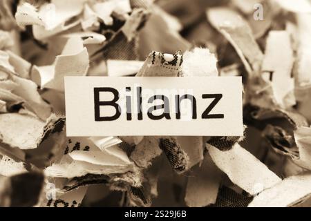 Frammenti di carta con bilancio per parole chiave, foto simboliche per la distruzione dei dati, il bilanciamento e l'analisi economica Austria Foto Stock