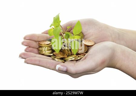 Mani con soldi e piante. Foto simbolica per la crescita del capitale attraverso l'interesse durante il salvataggio. Austria Foto Stock