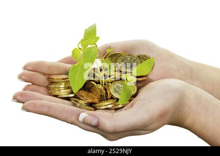 Mani con soldi e piante. Foto simbolica per la crescita del capitale attraverso l'interesse durante il salvataggio. Austria Foto Stock