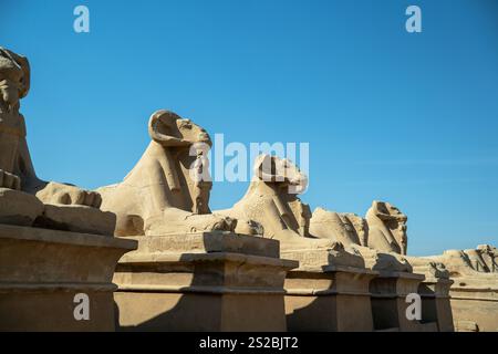 Vicolo delle Sfingi di Rams vicino al Tempio di Luxor sul cielo Blu Foto Stock