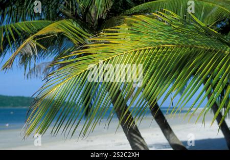 Una spiaggia con paesaggio Naer Ayer Hangat Village nel nord dell'isola di Langkawi in Malesia. Malaysia, Langkawi, gennaio 2003 Foto Stock