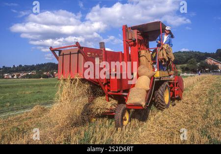 Slovenia, Dane, regione di Cerknica, mietitrebbiatrice che raccoglie un campo e contemporaneamente insacca il frumento raccolto. Foto Stock