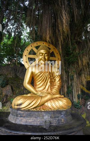 Primo piano di una statua di Buddha d'oro, tempio di Vihara Ratanavana Arama, Lasem Rembang, Giava centrale, Indonesia Foto Stock