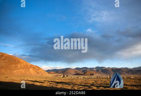 Vista distante dei nomadi e di un gregge di pecore sull'altopiano tibetano vicino a Sangsang, Tibet, Cina Foto Stock