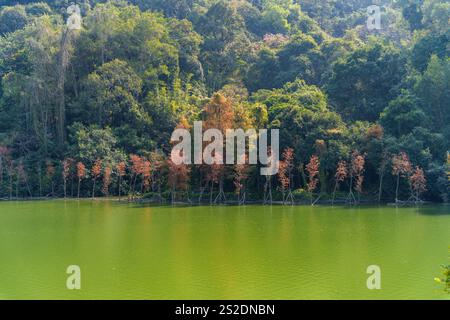 splendida vista dell'ampio natrue Foto Stock