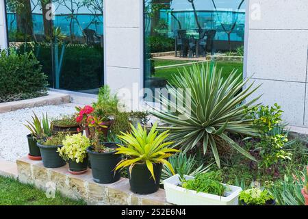 Vasi di fiori all'aperto con piante dal clima arido del deserto nel giardino d'inverno sulla terrazza sul tetto. Composizione di piante in vaso di fiori di stagione sul giardino con balcone. Foto Stock