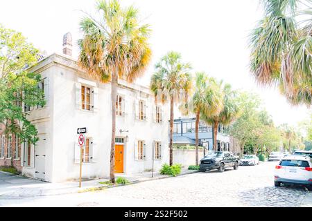 Interpretazione artistica di Charleston, South Carolina USA Foto Stock