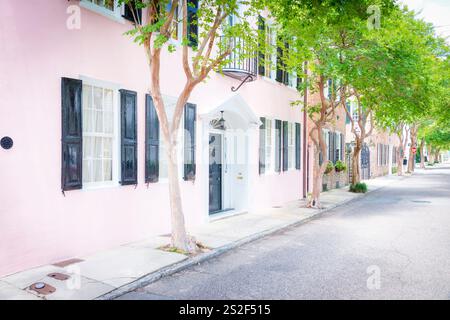 Interpretazione artistica di Charleston, South Carolina USA Foto Stock