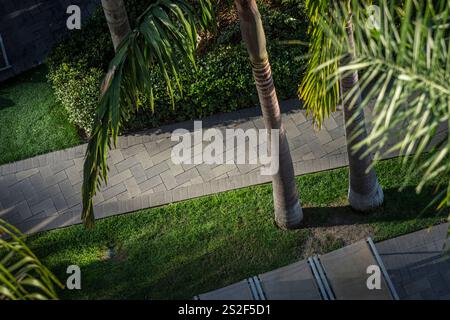 Vista aerea del giardino tropicale con palme e sentiero, Florida USA Foto Stock