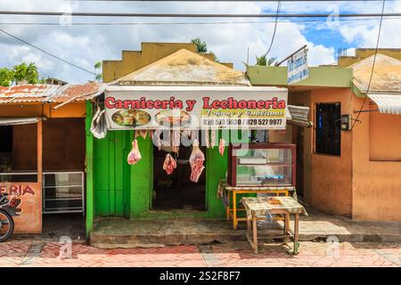 Un piccolo edificio verde con un cartello che dice Carniceria y Lechoneria. C'è della carne in mostra davanti all'edificio Foto Stock