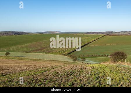 Una vista sui terreni agricoli a South Downs, in una mattinata d'inverno soleggiata Foto Stock