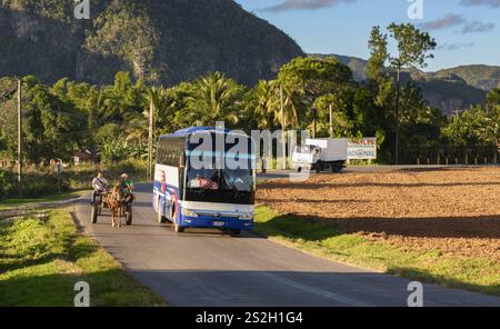 Autobus e carrozza sulla strada nella valle di Vinales, Cuba Foto Stock