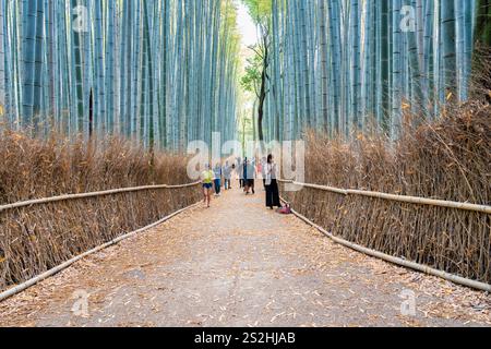 Kyoto, Giappone - 05.08.2024: I turisti camminano lungo il sentiero della Foresta di bambù di Arashiyama, una delle principali attrazioni turistiche di Kyoto Foto Stock