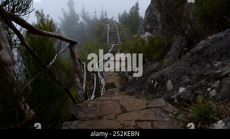 Sentiero in pietra con ringhiere in legno che si snodano attraverso una foresta nebbiosa e terreni rocciosi, creando un'atmosfera serena e avventurosa. Foto Stock