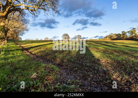 Un campo agricolo nel Sussex rurale in un giorno di gennaio, con ombre sul campo Foto Stock