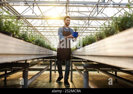 Giovane che lavora in una serra e sembra coinvolto Foto Stock