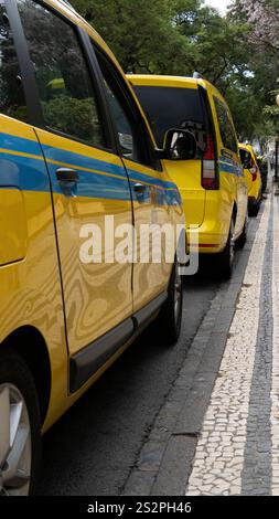 Una fila di taxi gialli parcheggiati lungo un marciapiede piastrellato in un ambiente urbano, con vegetazione visibile sullo sfondo. L'immagine cattura una città vivace tr Foto Stock