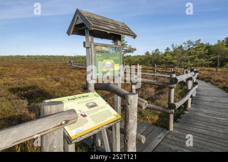 Percorso lungo la brughiera Nera, tavole didattiche, bacheche informative, occhi nella brughiera, occhio di brughiera, cielo blu, vicino a Fladungen, alla Biosfera bavarese del Rhoen Foto Stock