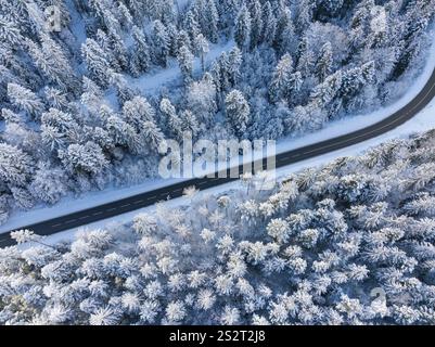 La strada tortuosa si snoda tra alberi innevati nella foresta invernale, Bad Wildbad, distretto di Calw, Foresta Nera, Germania, Europa Foto Stock