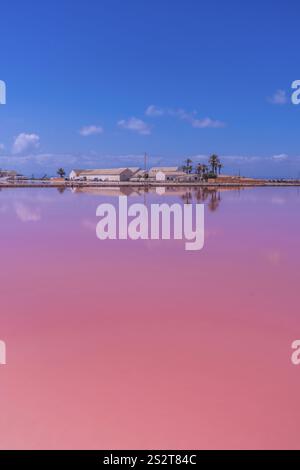 L'acqua rosa riflette edifici industriali e palme sotto un cielo blu nelle saline di san pedro del pinatar, murcia, spagna Foto Stock