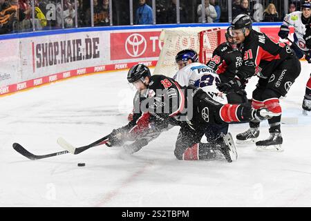 Eishockey DEL 24/27. Spieltag: Kölner Haie vs Eisbären Berlin am 21.02.2024 im in der LANXESS arena in Köln Kölns Moritz Müller (Nr.91) und Kölns Joshua Currie (Nr.18) gegen Berlins Gabriel Fontaine (Nr.97) foto: Osnapix Foto Stock